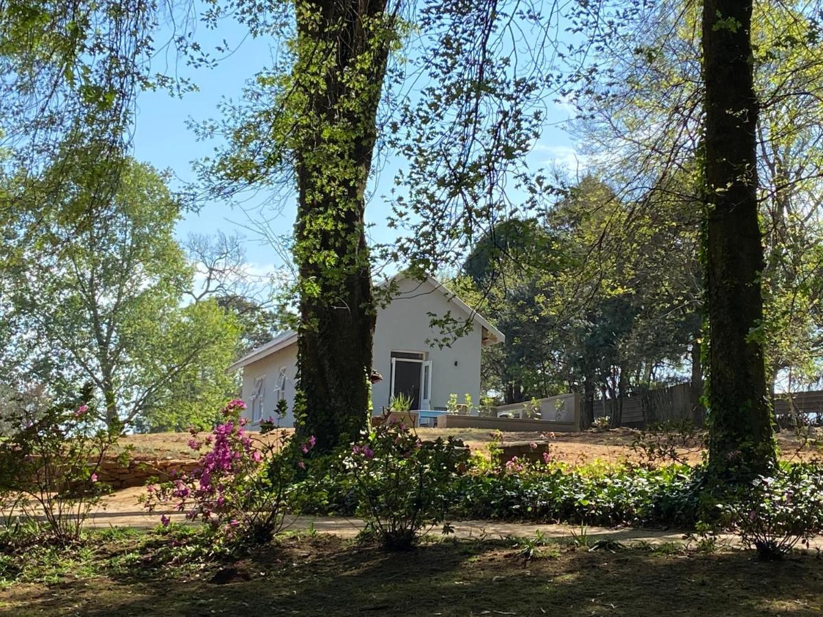 Yellowwoods Farm - The Goat House Curryʼs Post Exterior foto